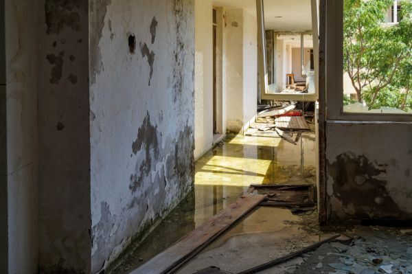 Cost of Water Removal Service in Conyers
