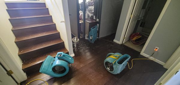 Cost of Water Damage Remediation in Conyers