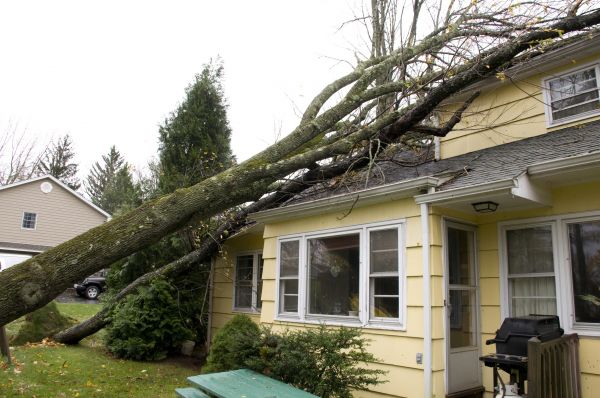 Hurricane Damage Repair in Conyers
